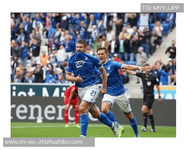 霍芬海姆在德甲展现进攻高效与防守稳健的双重优势